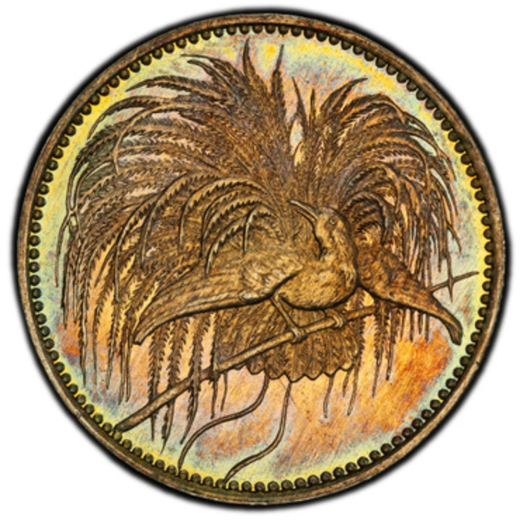 1894年A ドイツ領ニューギニア 極楽鳥 1/2マルク銀貨 PR65 PCGS トーン – FIRST SOVEREIGN