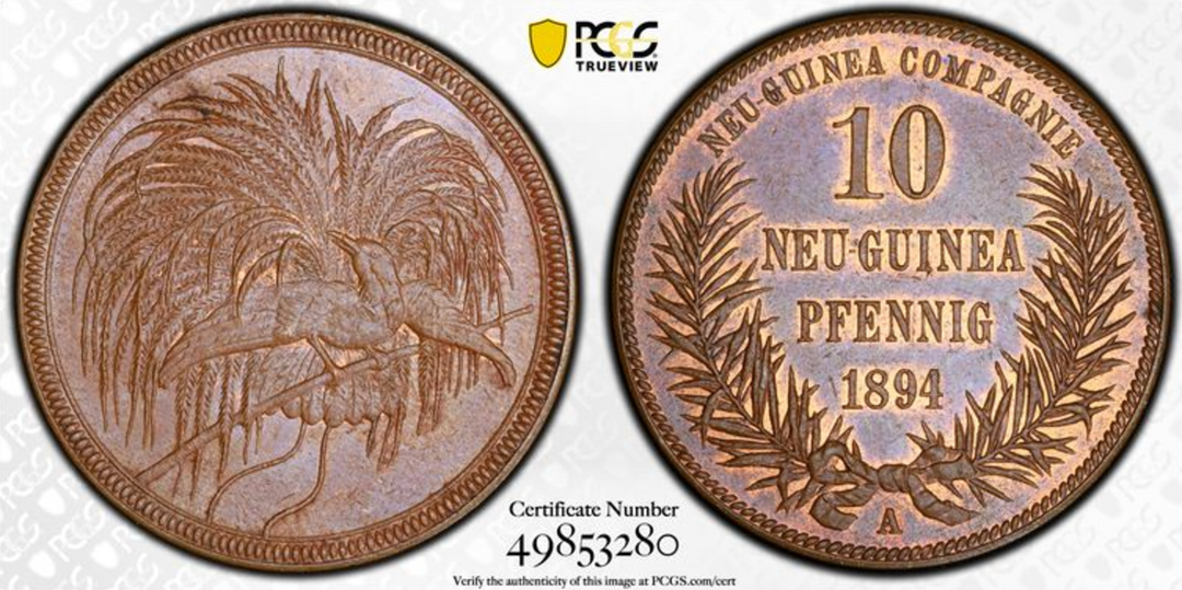 1894年 ドイツ領🇩🇪ニューギニア 極楽鳥 10ペニヒ銅貨 PCGS MS64