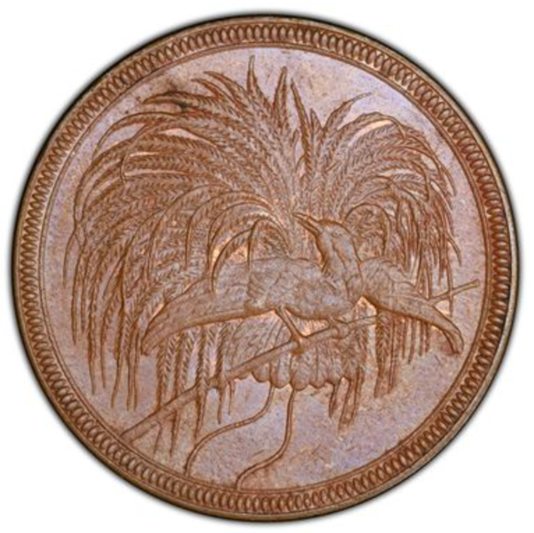 1894年 ドイツ領🇩🇪ニューギニア 極楽鳥 10ペニヒ銅貨 PCGS MS64