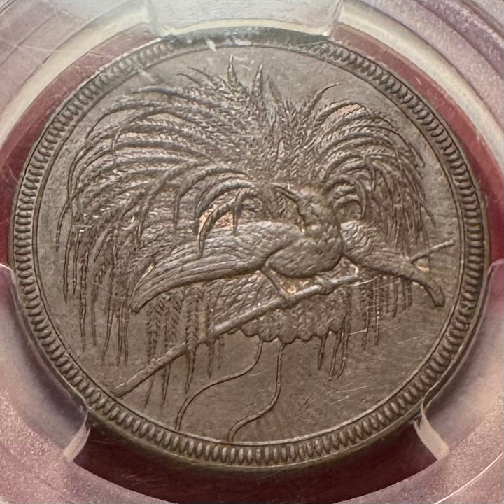 1894年 ドイツ領🇩🇪ニューギニア 極楽鳥 10ペニヒ銅貨 PCGS MS64